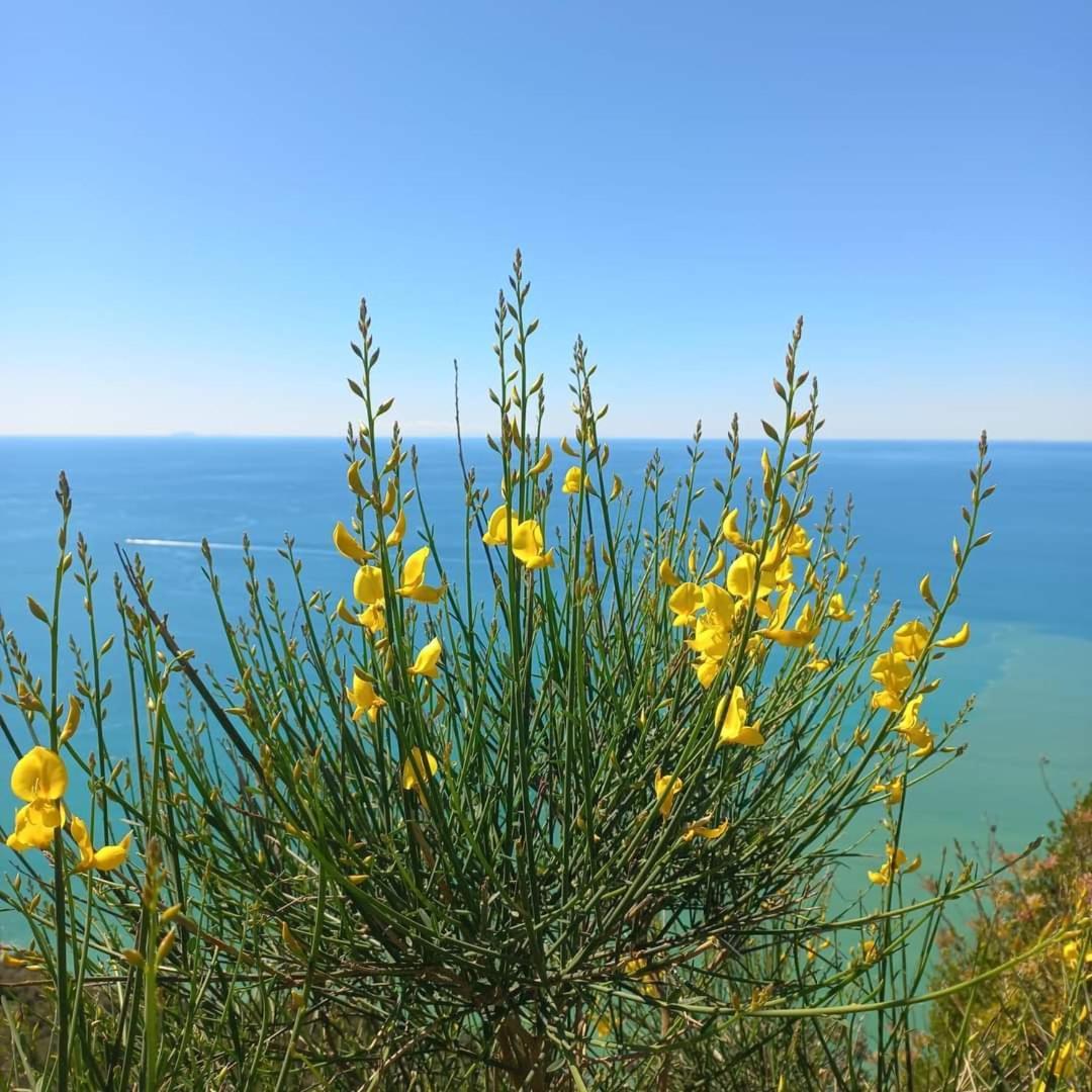 La Finestra Sul Parco Lägenhet La Spezia Exteriör bild
